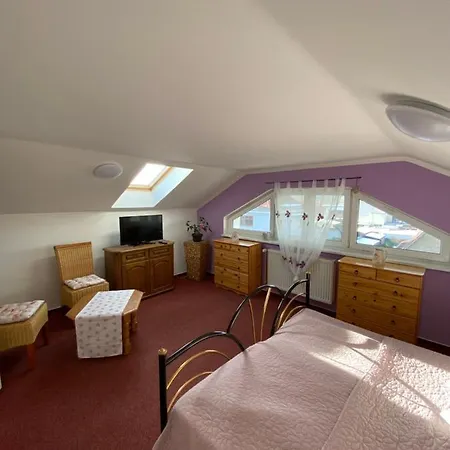 Guest house Penzion Slunce Ceska Lipa